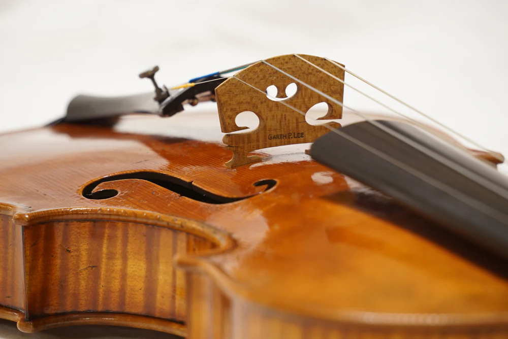 Timeless Style, Musical Legacy